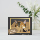 Funny Cat Birthday Postcard Postkarte (Stehend Vorderseite)