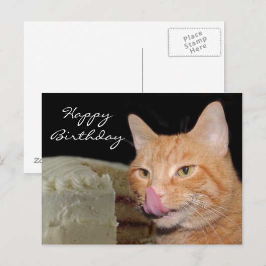 Funny Cat Birthday Postkarte (Vorne/Hinten)