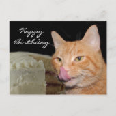 Funny Cat Birthday Postkarte (Vorderseite)