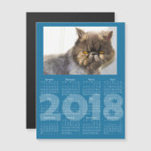 Funny Cat Blue 2018 Kalender Magnetkarte (Vorne/Hinten)