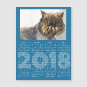 Funny Cat Blue 2018 Kalender Magnetkarte