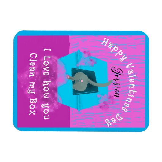 Funny Cat Box Valentine From Cat Magnet (Horizontal)