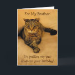 Funny Cat Brother Birthday Karte<br><div class="desc">Geburtstagskarte für einen Bruder mit Rupie,  der seine Pfote für einen besonderen Spaß ablegt. Im Foto zeigt er,  was er mit Business meint. Personalisieren Sie Ihre eigene Nachricht. Vielen Dank,  dass du gesucht hast! Fotos ©Christine Greenspan</div>