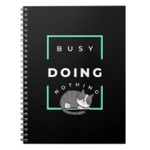 FUNNY CAT BUSY TUT NICHTS