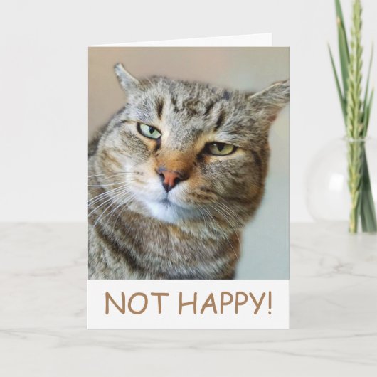 Funny Cat Cancer Support Karte (Vorderseite)