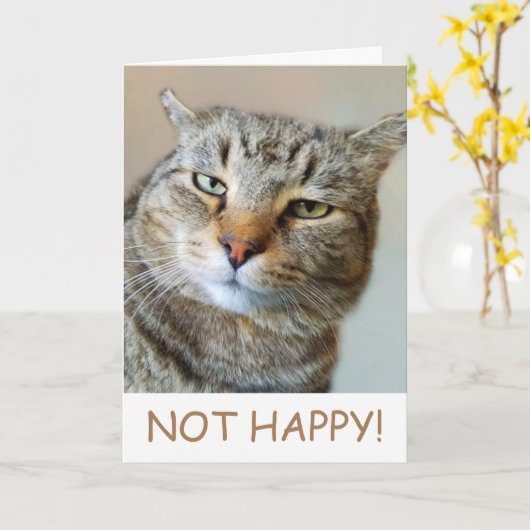 Funny Cat Cancer Support Karte (Gelbe Blume)