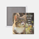 Funny Cat Caption Trust Me I'm Fluffy Magnet (Vorderseite/Rückseite)