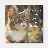 Funny Cat Caption Trust Me I'm Fluffy Magnet (Vorne)