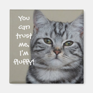 Funny Cat Caption Trust Me I'm Fluffy Magnet