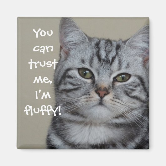 Funny Cat Caption Trust Me I'm Fluffy Magnet (Vorne)