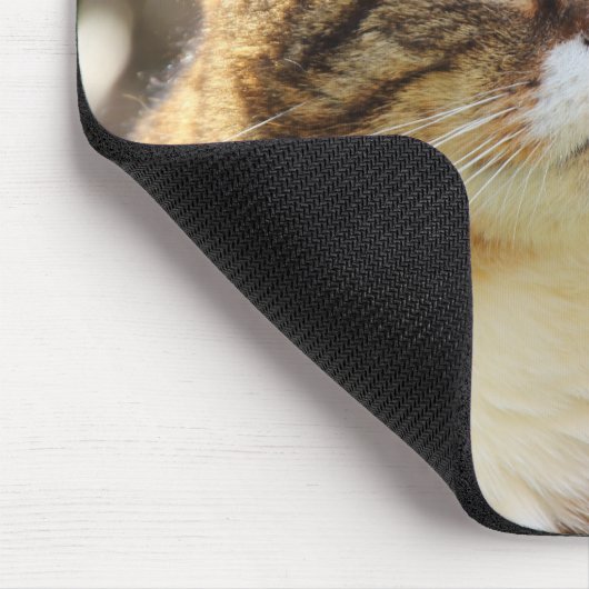 Funny Cat Caption Trust Me I'm Fluffy Mousepad (Ecke)
