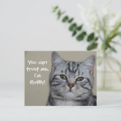 Funny Cat Caption Trust Me I'm Fluffy Postkarte (Stehend Vorderseite)