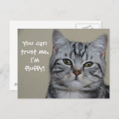 Funny Cat Caption Trust Me I'm Fluffy Postkarte (Vorne/Hinten)