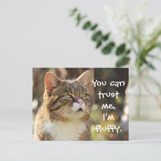 Funny Cat Caption Trust Me I'm Fluffy Postkarte (Stehend Vorderseite)