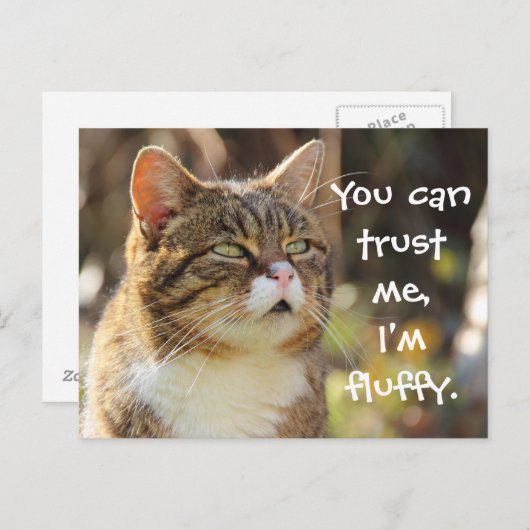 Funny Cat Caption Trust Me I'm Fluffy Postkarte (Vorne/Hinten)