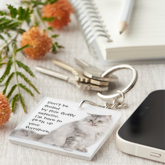 Funny Cat Capture Mess up Möbel Schlüsselanhänger (Vorderseite rechts)