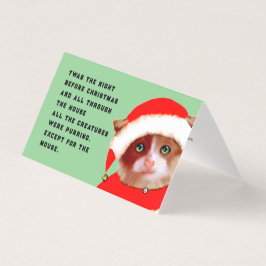 Funny Cat Christmas