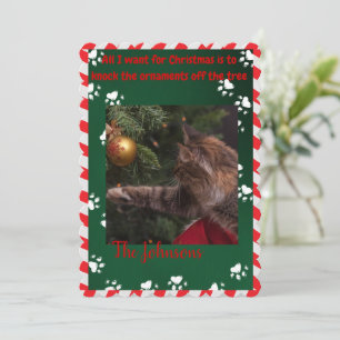 Funny Cat Christmas Card - Ornamente des Baumes Feiertagskarte