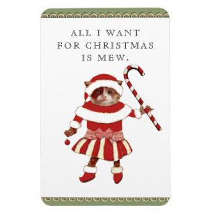 Funny Cat Christmas Cards Magnet