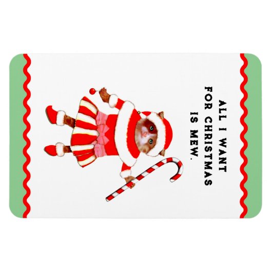 Funny Cat Christmas Cards Magnet (Horizontal)