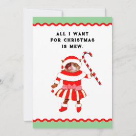 Funny Cat Christmas Feiertagskarte