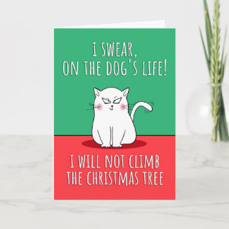 Funny Cat Christmas Karte