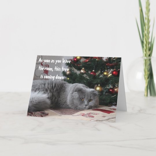 funny cat christmas tree