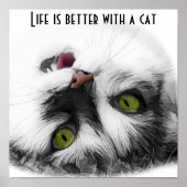 Funny Cat classic Poster (Vorne)