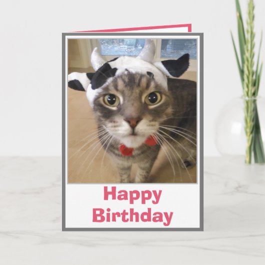 Funny Cat Cow Joke Birthday Karte (Vorderseite)