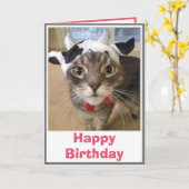 Funny Cat Cow Joke Birthday Karte (Gelbe Blume)