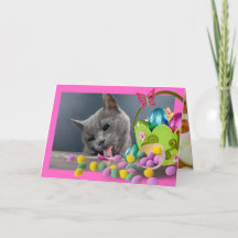 Funny Cat Custom Ostercard