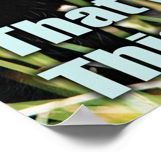 Funny Cat - Das war Zen, das ist Meow Poster (Ecke)