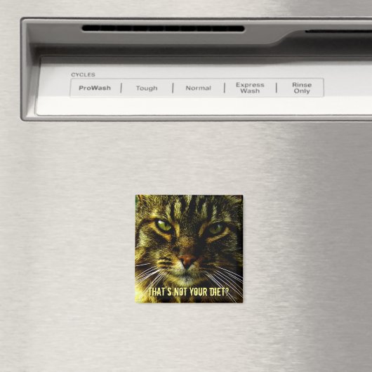 Funny Cat Diet Guard Magnet (In Situ (Geschirrspüler))
