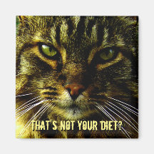 Funny Cat Diet Guard