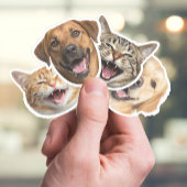Funny Cat & Dog Faces mit Ihren benutzerdefinierte Aufkleber