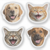 Funny Cat & Dog Faces mit Ihren benutzerdefinierte Aufkleber (Vorderseite)