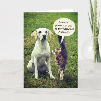 Funny Cat & Dog Valentine (anpassbar) Feiertagskarte