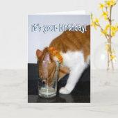 Funny Cat Drink aus Glas - Happy Birthday Karte (Gelbe Blume)