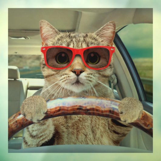 Funny Cat Driving Car Shade 12" x 12" Fensteraufkleber (Blatt 3)