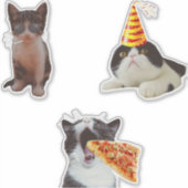 Funny Cat Eating Pizza Aufkleber (Vorderseite)
