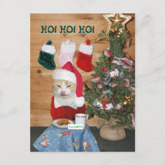 Funny Cat Eating Santa’s Snack Feiertagspostkarte