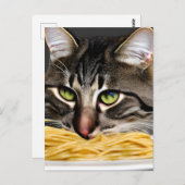 Funny Cat Eating Spaghetti Postkarte (Vorne/Hinten)