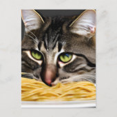 Funny Cat Eating Spaghetti Postkarte (Vorderseite)