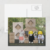 Funny Cat Einladung zu bewegen Postkarte (Vorne/Hinten)