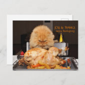 Funny Cat Erntedank Postcard Postkarte (Vorne/Hinten)