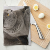 Funny Cat & Fish individuelle Name Handtuch (Viertel Falte)