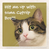 Funny Cat Foto Catnip Caption Glasuntersetzer (Vorderseite)