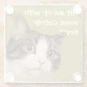Funny Cat Foto Catnip Caption Glasuntersetzer (Rückseite)