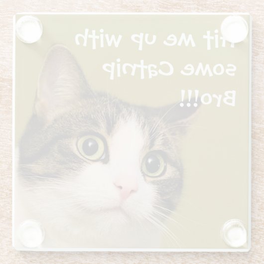 Funny Cat Foto Catnip Caption Glasuntersetzer (Rückseite)