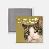 Funny Cat Foto Catnip Caption Magnet (Vorderseite/Rückseite)